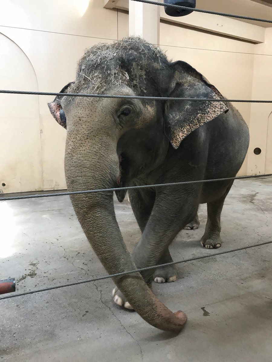 Free the Slaves UC tweet media