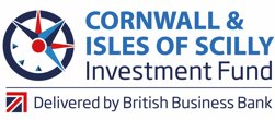 BritishBBank's tweet image. We spoke with entrepreneur, @_Jessification_, about the launch of a £40 million investment fund in #Cornwall and Isles of #Scilly, and what it means for the region. Read more in the #BFGuide
bit.ly/2MUSWWJ