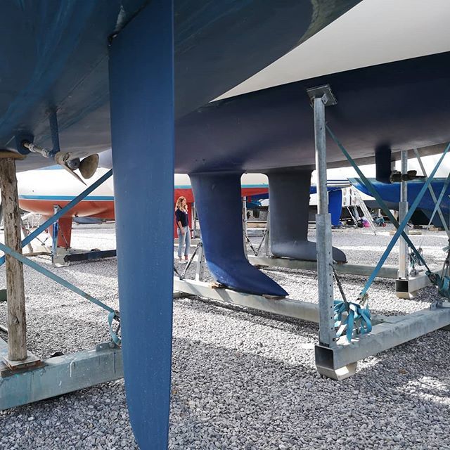 Baldwin Harris tweet media