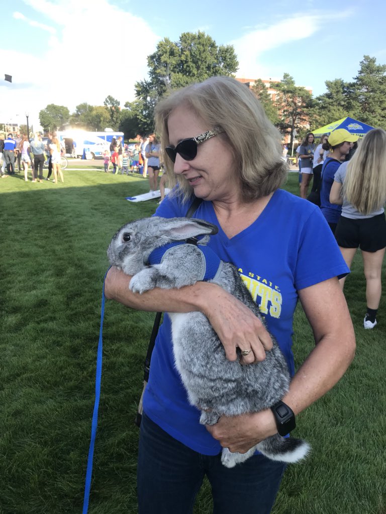 CoughlinRabbit's tweet photo. This COULD be you! Come see me tomorrow at the game day walk! 4:00 pm. Meet outside Larson commons. I think I also heard something about free ice cream??? 🤔🤔 https://t.co/WHIDzpFOHd