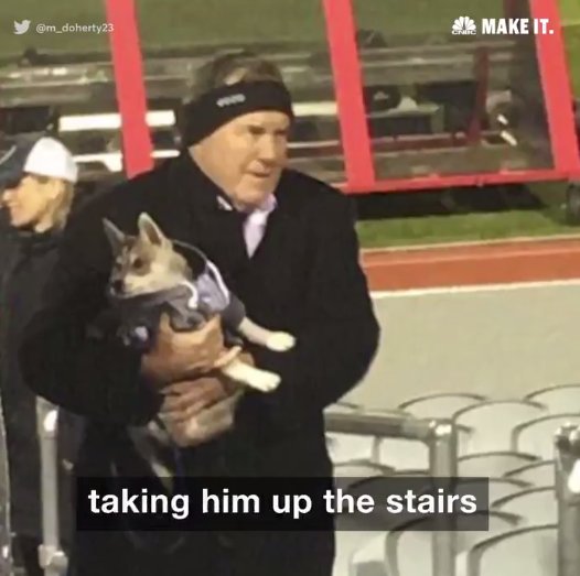 Happy Birthday Bill Belichick! The New England Patriots head coach turns 67 today.  