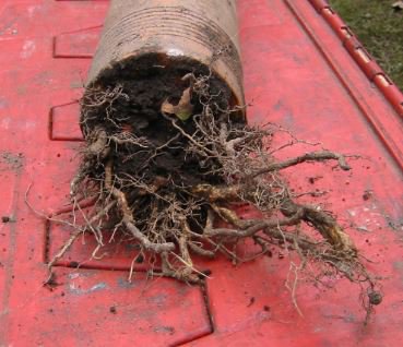 DrainDr_NW's tweet photo. Tree Root Removal
We are no-dig root removal specialists.
Our no-dig solutions remove the need for costly excavation. Imagine having to dig up your newly laid driveway or beautiful landscaped garden.
Call: 0800 026 6623
https://t.co/9sV7DjoKJC https://t.co/gIABP6ir5g