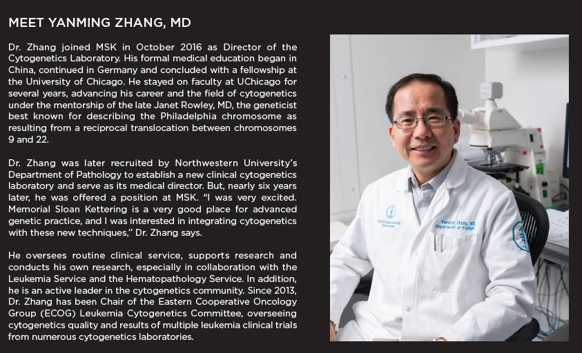 Dmg gastroenterology