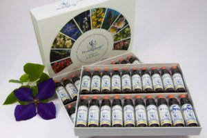 thrivehw's tweet image. Bach flower remedies thrivehealthwellness.co.uk/bach-flower-re…