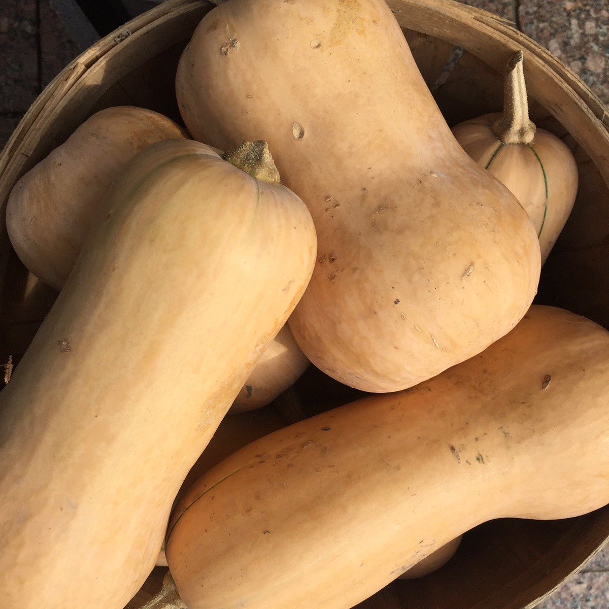 Great day at the <a href="/PEARLMARKET/">THE PEARL MARKET</a> . Probably one of the last days to buy sweetcorn, but there are apples, green beans squash galore. Stop by Tuesday, September 11 to grab your produce!