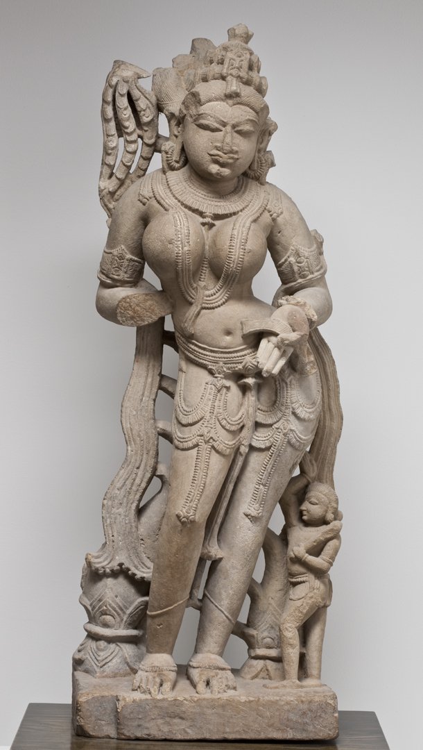 A 11th century Chauhan era sculpture of a Surasundari belonging to present day Rajasthan, now smuggled away at the  @HFJMuseum which is situated within the famed ivy league  @Cornell Univ campus. Seriously how do these folks feel about displaying stolen art?  https://museum.cornell.edu/collections/asian-pacific/south-asia/yakshi-love-letter-her-hand