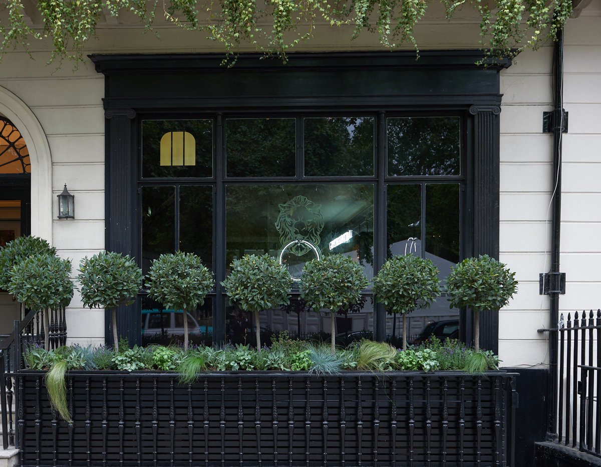 BSQGin's tweet photo. GINTENESSENTIAL has now opened its doors to the general public. For the next 4 weeks, guests of @MortonsClub can expect a gin oasis like no other. Open Monday to Friday from 5.30pm onwards. 

#gintessential #berkeleysquaregin #ginlovers #bartender https://t.co/yyvqm78IWS