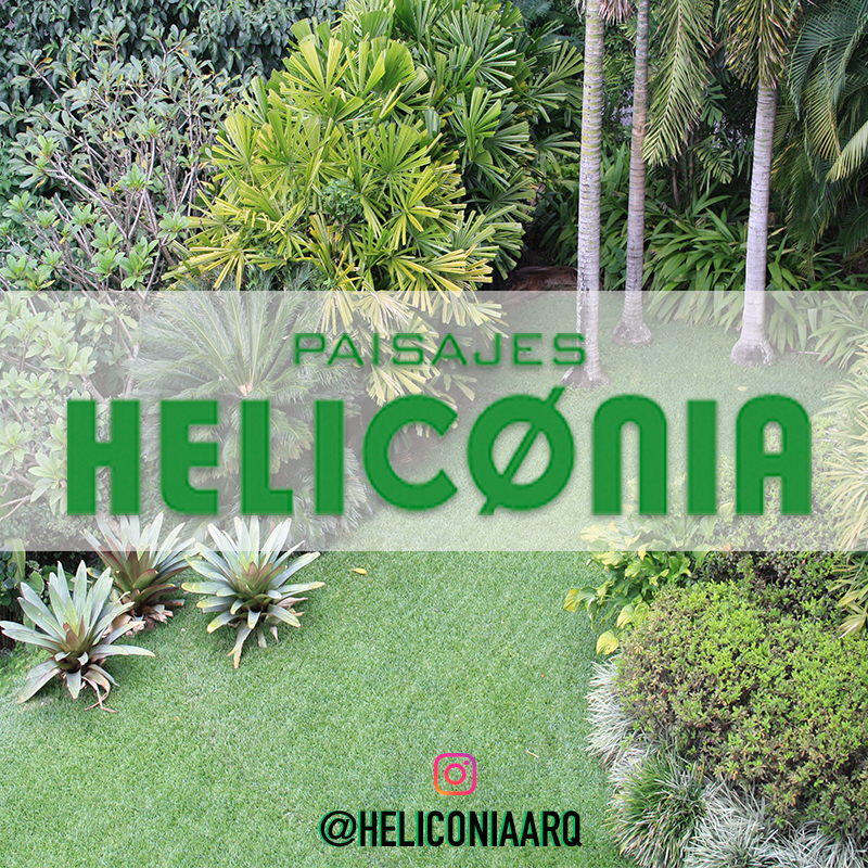 arqheliconia's tweet photo. Ya puedes seguirnos en nuestra cuenta de Instagram como @HeliconiaArq
podrás ver nuestros trabajos y contactárnos ¡Recuerda que construimos para ti un hermoso lugar que puedas disfrutar! #ArquitecturaPaisajista #Heliconia #Armonía #Naturaleza https://t.co/eRqjyEeTm2