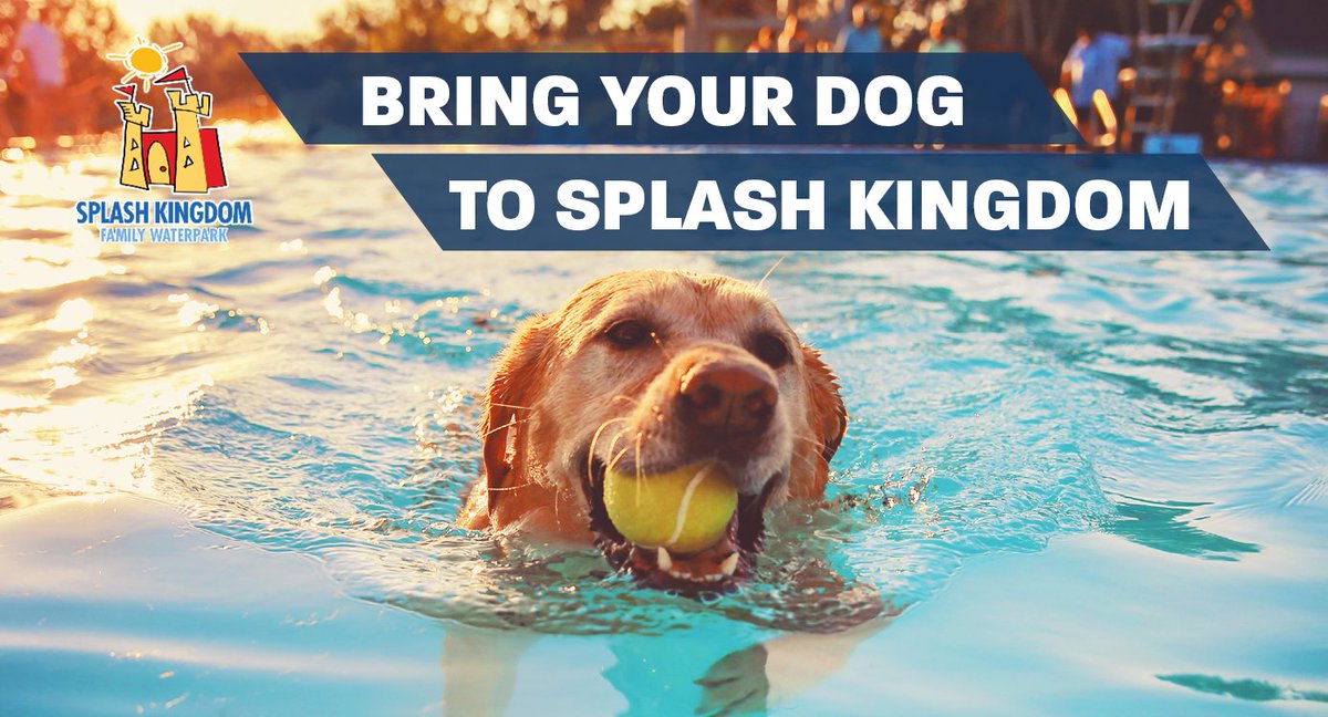 Join us TOMORROW, Saturday, Sept 8th, from 2 - 6 pm for Bark in the Park at Splash Kingdom in Shreveport! Entry is $20.95 + tax per person. See our Facebook Page for details and SHOT RECORDS REQUIRED!