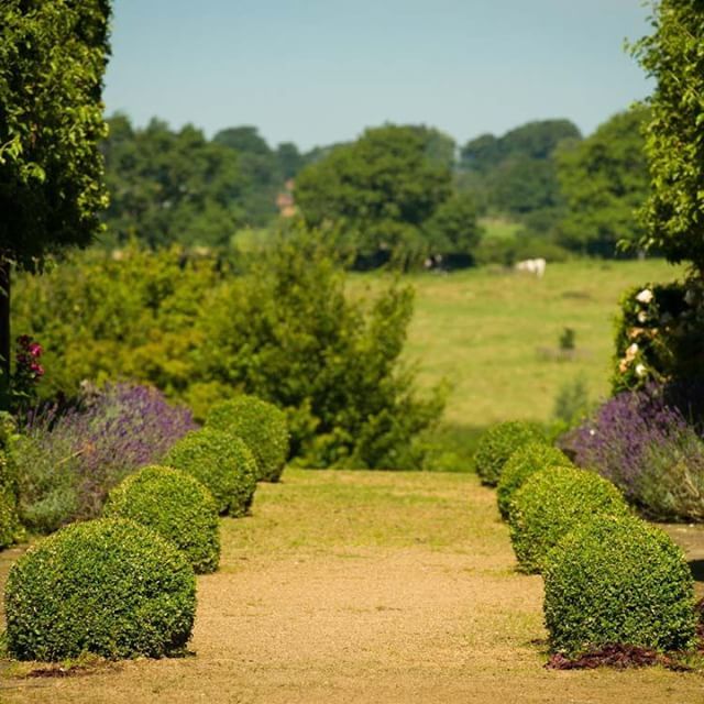 LadywoodEstate's tweet photo. A Warm Welcome to Nataly and Rehaan who will be married at Ladywood this weekend #WelcometoLadywood #bride #groom #family #friends #countryhousewedding #countryweddings #ladywoodestateweddings #woodland #gardens #grounds #lake #boathouse #rutland #leices… https://t.co/SQgusuknkV https://t.co/La5nX9MR2c