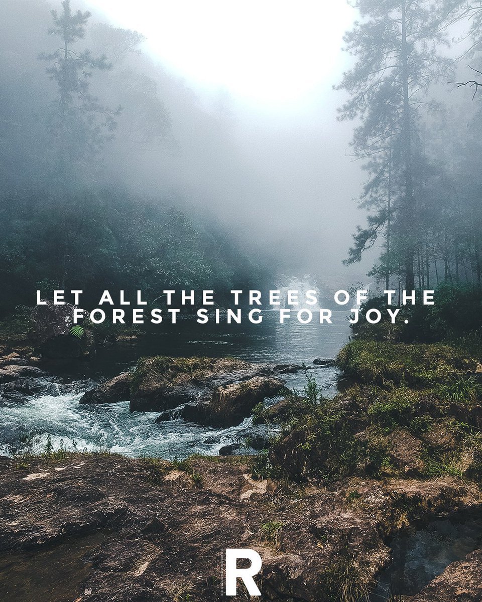 The Roadshow tweet media