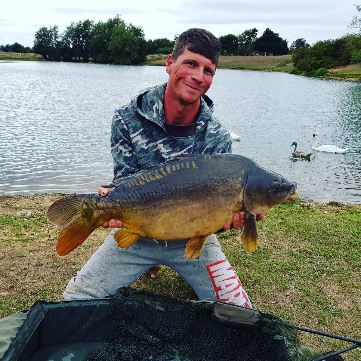 Branty17's tweet photo. So this happend for me on a really hard lake so impressed what a beauty got this on @TeamMainline the link balance wafter #carpy #CarpFishing #korda #iqdrig https://t.co/xVgiyQPONX
