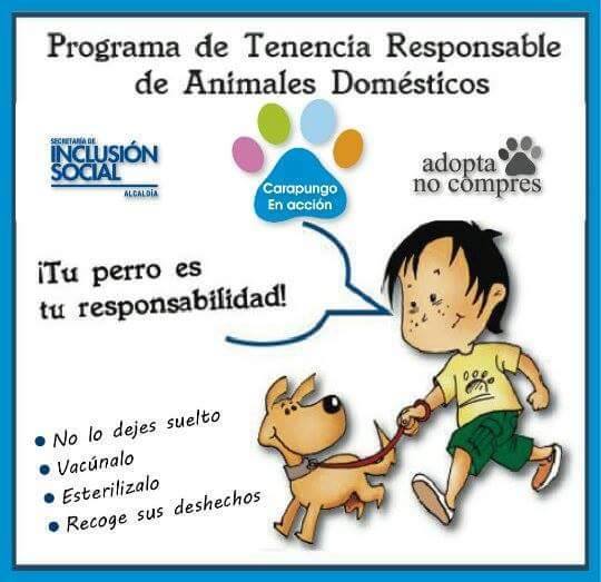 Te esperamos este Domingo Cruz del papa,<a href="/AVAstudillo/">Alberto Astudillo B.</a> ,<a href="/ParolerosEC/">La Parola</a> ,<a href="/Luis_A_CC/">Luis Castañeda</a> ,<a href="/Carapungoenacci/">Carapungo en acción</a> ,<a href="/Observatorio_FU/">Observatorio Animal</a> ,<a href="/johannacanizare/">Johanna Canizares</a> ,@CANELATV ,<a href="/RadioVigia/">Radio Vigía F.M.</a> ,<a href="/TVCLaComunidad/">TVCLaComunidad</a> ,<a href="/tctelevision/">TC Televisión</a>