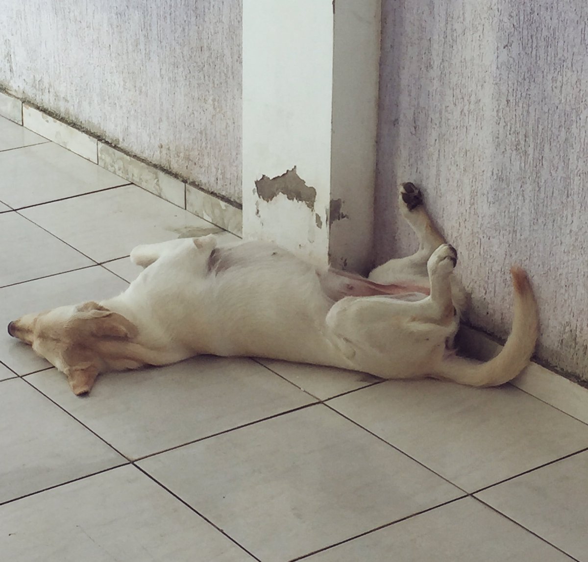 Eu estou só a Nina nesse feriadão 😎😚 #filha