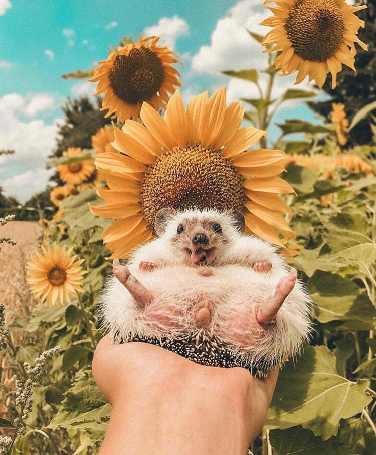bethanwoods's tweet photo. That Friday feeling 😝 #friyay #friyaylive #FridayFeeling #HappyFriday https://t.co/Gl1eVUCifw