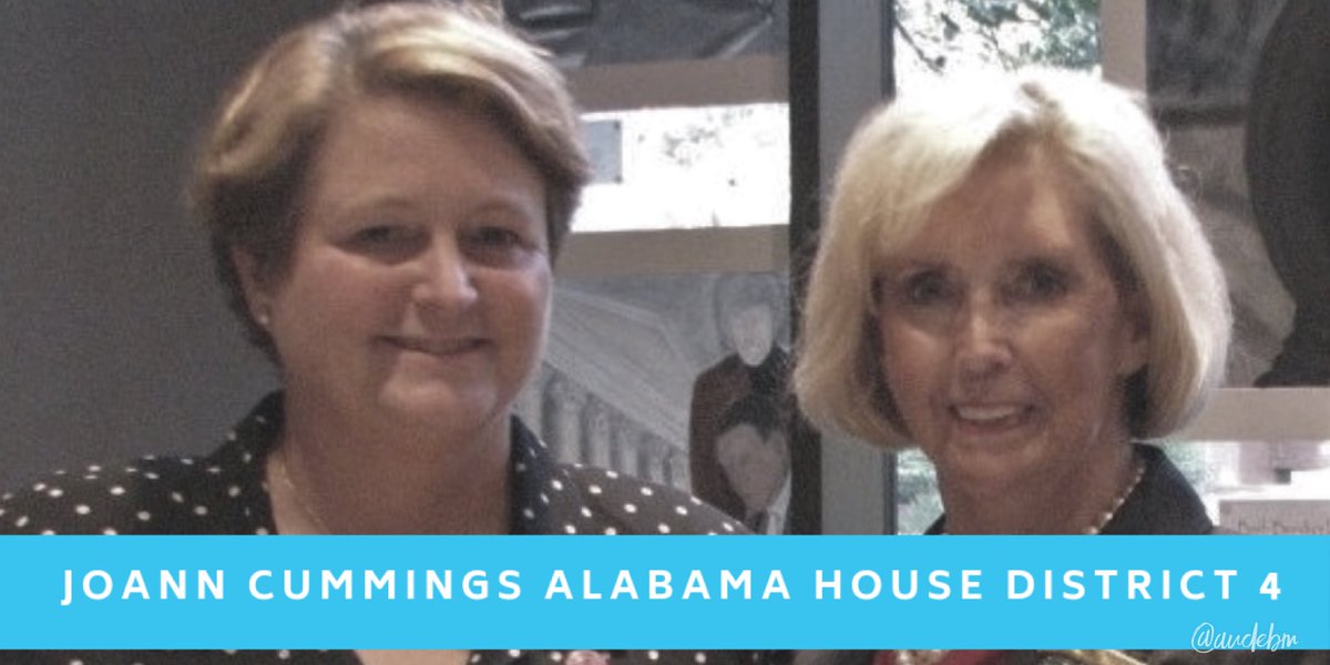 Vote JoAnn Cummings Alabama State House District 4.