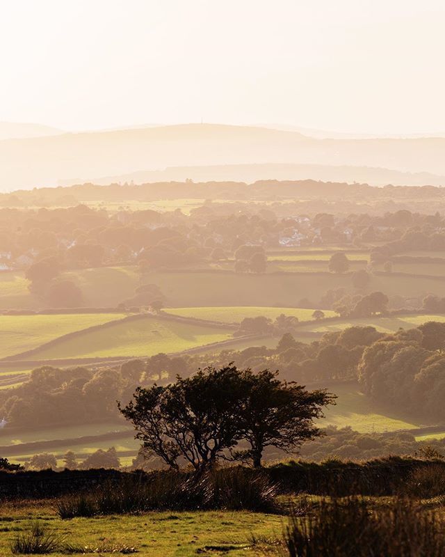 I do love Dartmoor! 🌳 
#dartmoor #dartmoornationalpark #nationalpark #devon #southwest #moors #moorland #tree #sunset #autumn #canon #6d #canonphotos #liveforthestory #sandisk #lowepro #loweprobags ift.tt/2QbZePR