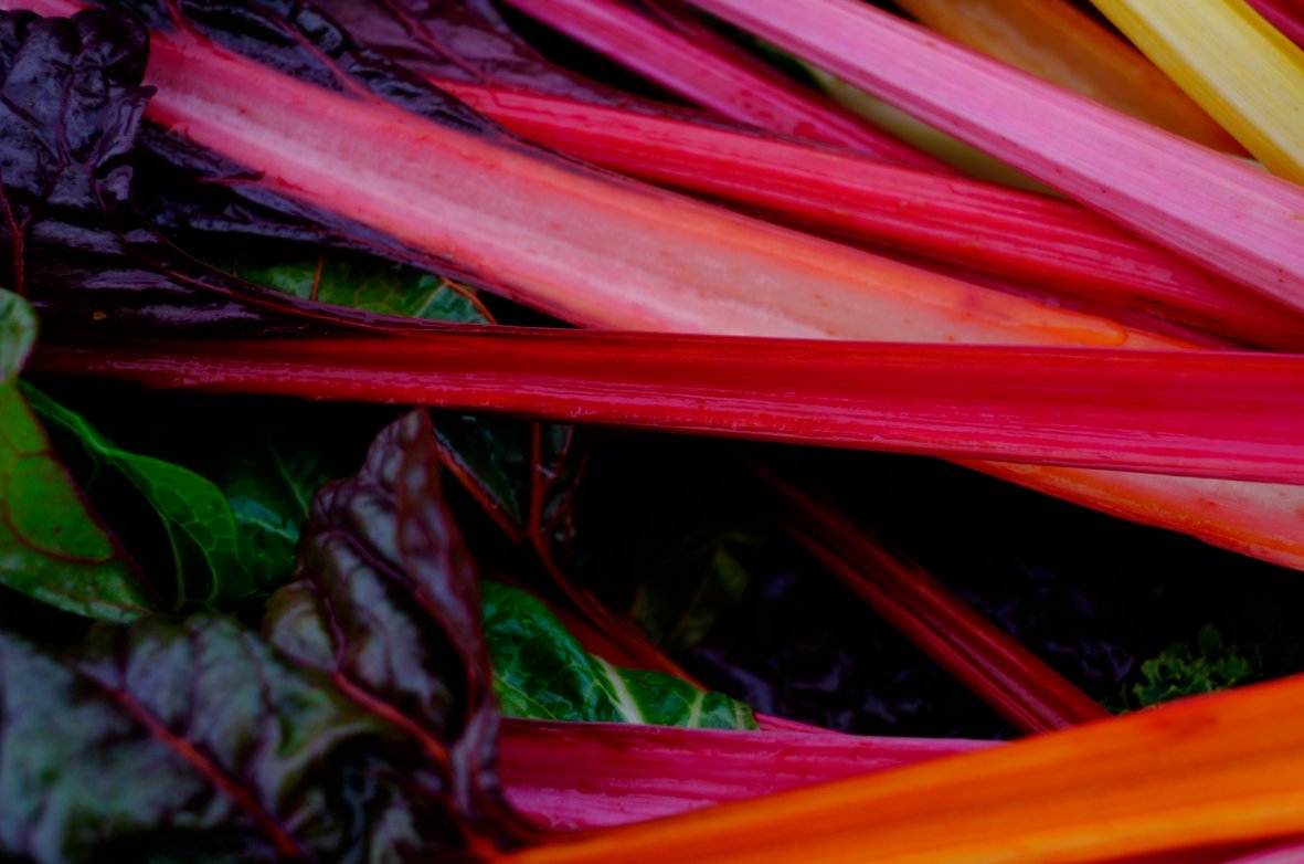 A2Greenbelt's tweet photo. Fresh veggies come in all shades of the rainbow on the Greenbelt. https://t.co/qn4A2HT6mF