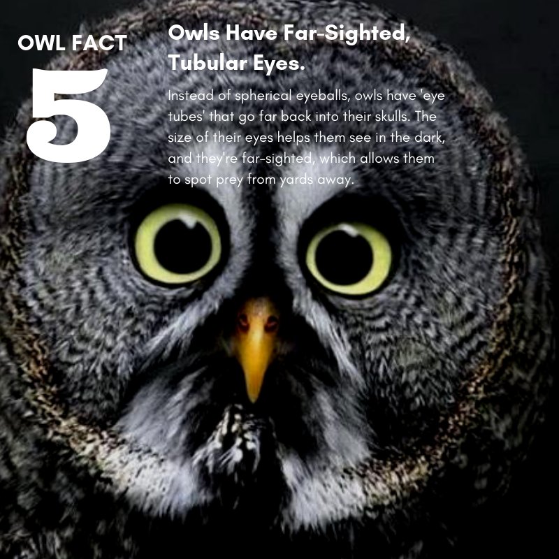 ShredWise Shredding tweet media