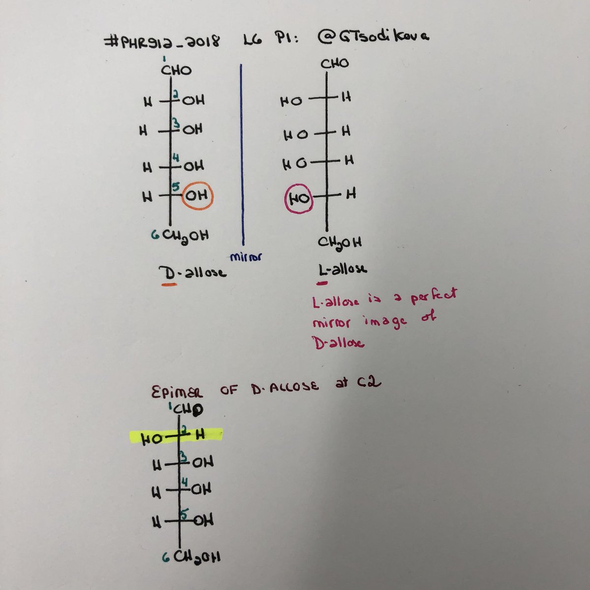 Dr. Sylvie Garneau-Tsodikova tweet media