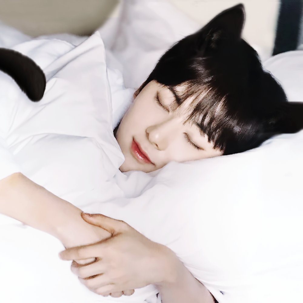 Kittenhwang tweet media