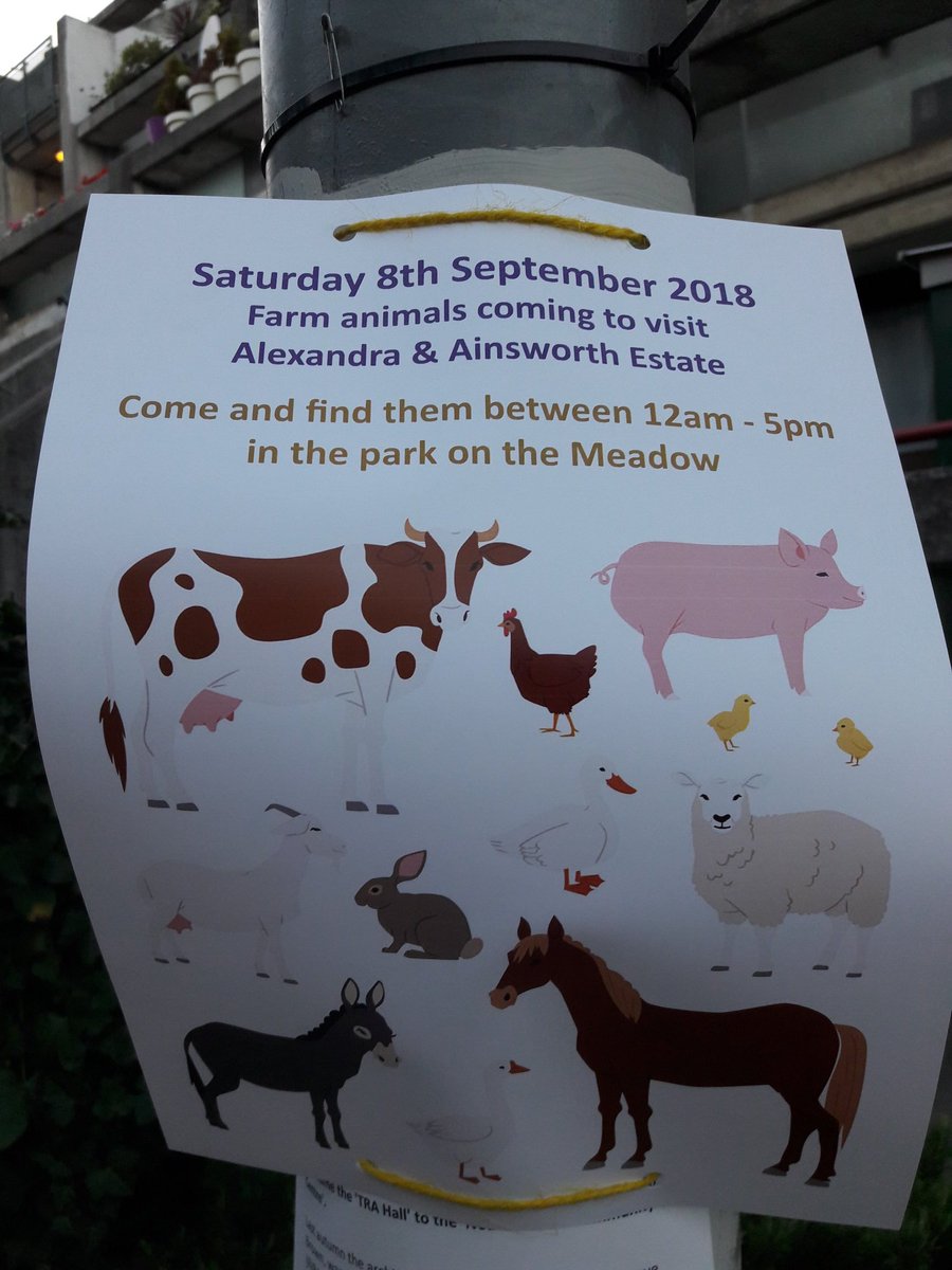 Tomorrow afternoon in our park. Come and meet the animals! All welcome. #Free #Freelondon #freecamden @AlexandraRdPark 
@CamdenCouncil @HLFLondon