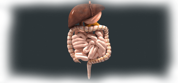 Clinicians4u's tweet photo. Does Your Body Digest Food Properly? https://t.co/w92eu5vg8Z https://t.co/1MdaFOgabx