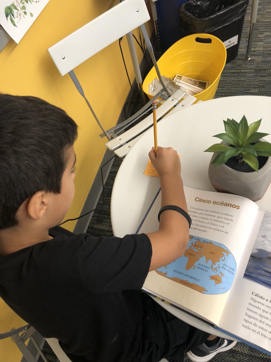 MrsMViana's tweet photo. #EverydayEditing (Edición Diaria) “Invitation to Collect” Carefully hunting for examples of capitalization in our Spanish book collection. #wearegroves #IAmHumble #weareintentional @writeguyjeff @JulieRoederAFL @HumbleISD_ESL @HumbleISD_CI https://t.co/Wc4dGC2WHw