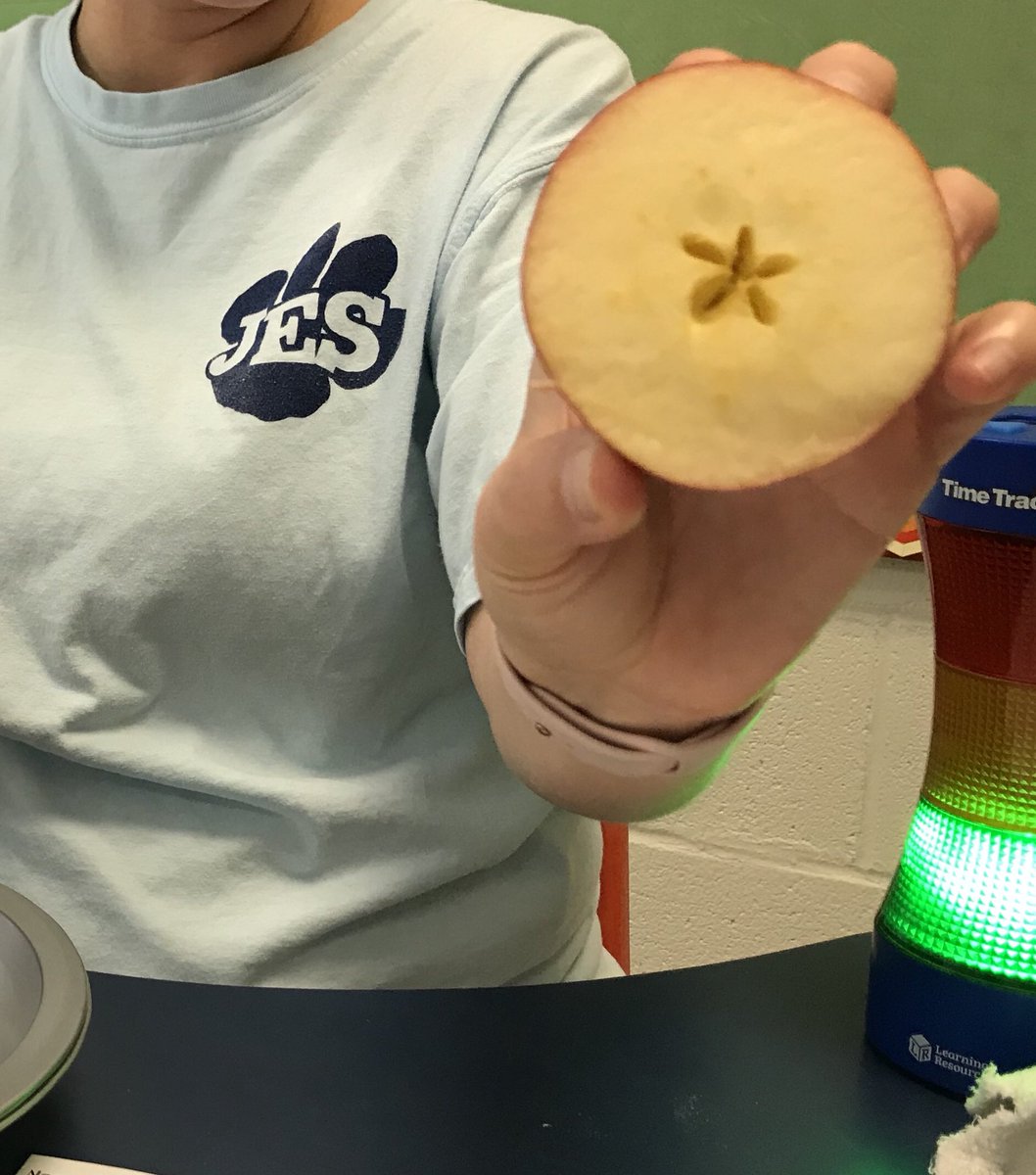 juleewdunn's tweet photo. Today we created a #senseofwonder by making apple volcanoes. Ss were amazed at how they erupted! We also discovered the star inside an apple. #applevolcano #lovebluelivegold @JohnsonWildcats https://t.co/da5Owz9v2p