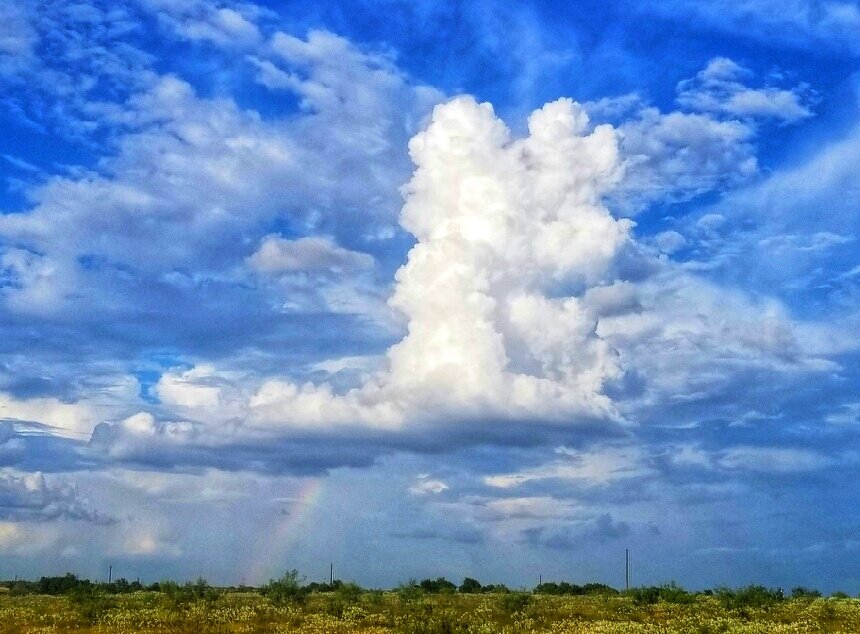 JohnRichTX's tweet photo. Rainbow #massivefilter https://t.co/tNKRzVitNZ
