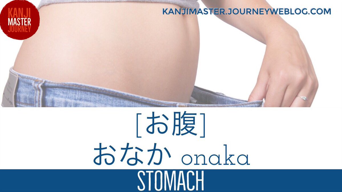 お腹 stomach
