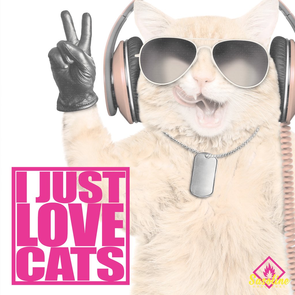 sass_fuel's tweet photo. What the photo said.
.
.
.
.
.
.
#Cat #Instacat #Instacats #Meow #Instacat_meows #Kitty #Kittycat #Catofinstagram #Cutecat #Instapet #Catoftheday #Kittylove #Instakitty #Cateye #Catlover #Cateyes #Catlovers #Cutecats #Animals #Catlove #Catloaf #Mypet #Kittens https://t.co/Yfio2E90UW
