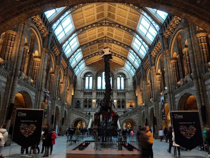 RevistaKunst's tweet photo. #LITERATURA | El mercado de reconstrucción del pasado en La extinción de las especies, la última novela de Diego Vecchio. Una #reseña de @AlanOjeda_Equis https://t.co/ZW31HTAWaB https://t.co/DCOVTH5sfF
