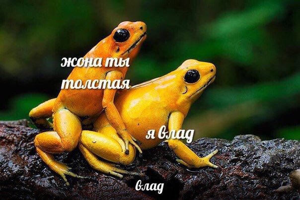 DmhBXaXXoAELqyu?format=jpg&name=small