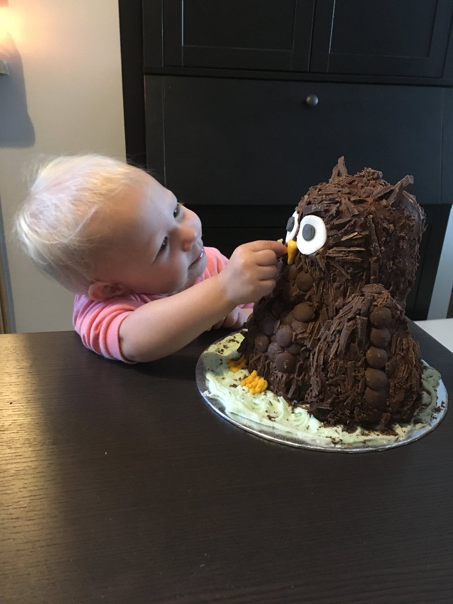 The amazing gluten free owl my mum made for Alice!! #GBBO #extraslice #bakeoff