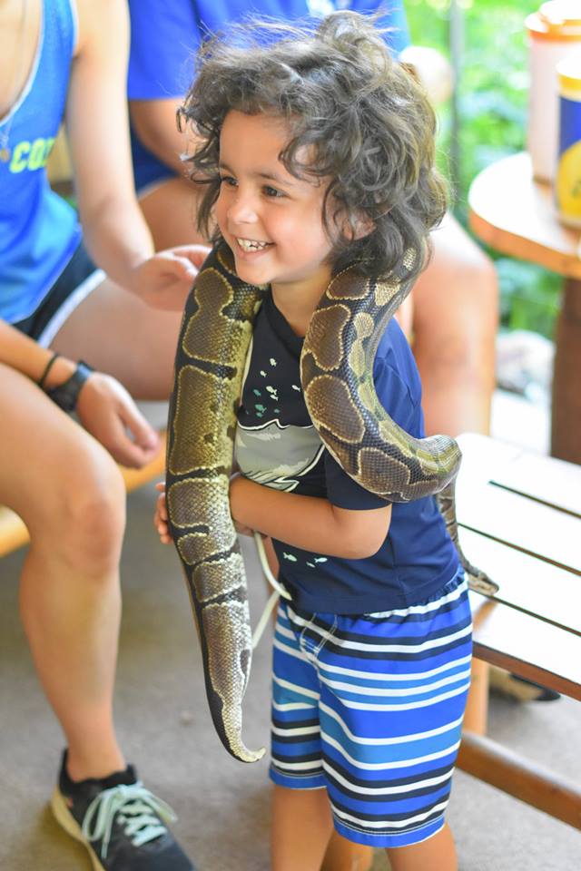 campnabby's tweet photo. Nabby loves nature! #campnabby #camp #summer #nature #animals https://t.co/VUeFprvxnh