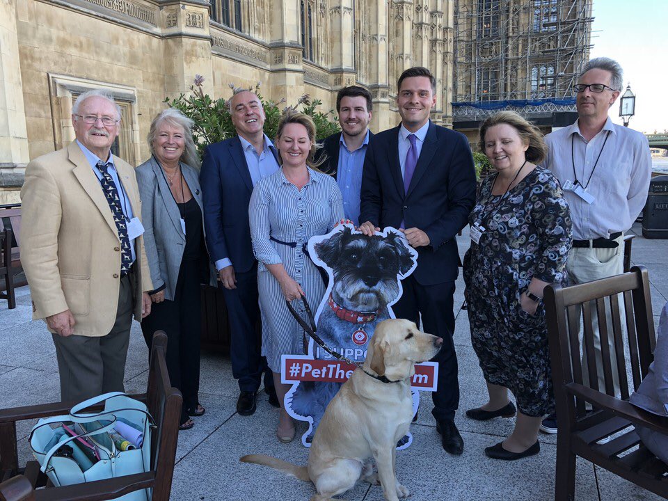 Dr_Dan_1's tweet image. #AnimalWelfare is climbing up the political agenda and leading to positive change. #FinnsLaw #LucysLaw #BanShockCollars 👍 #PetTheftPetition got increased sentencing, but we want more! The next step is adding #PetTheft to the #AnimalWelfareAct RT if you support #PetTheftReform