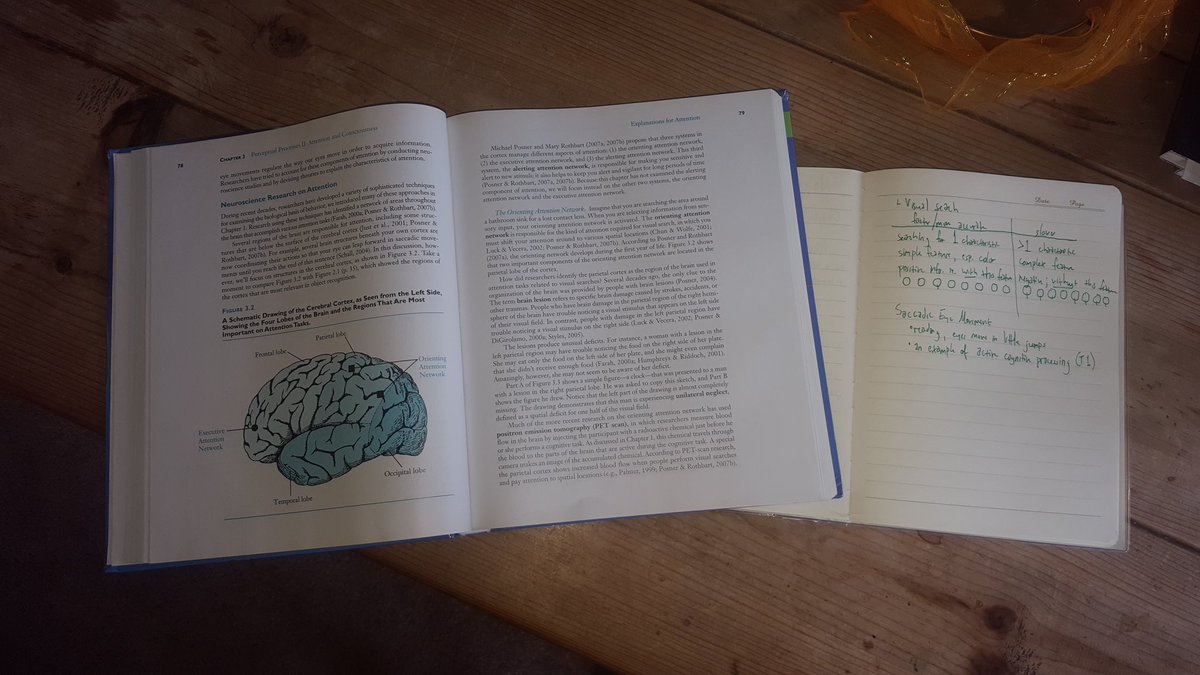 Jim_Brumbabe1's tweet image. Well what do YOU do when you're home alone? #classofone #brains #brainfood