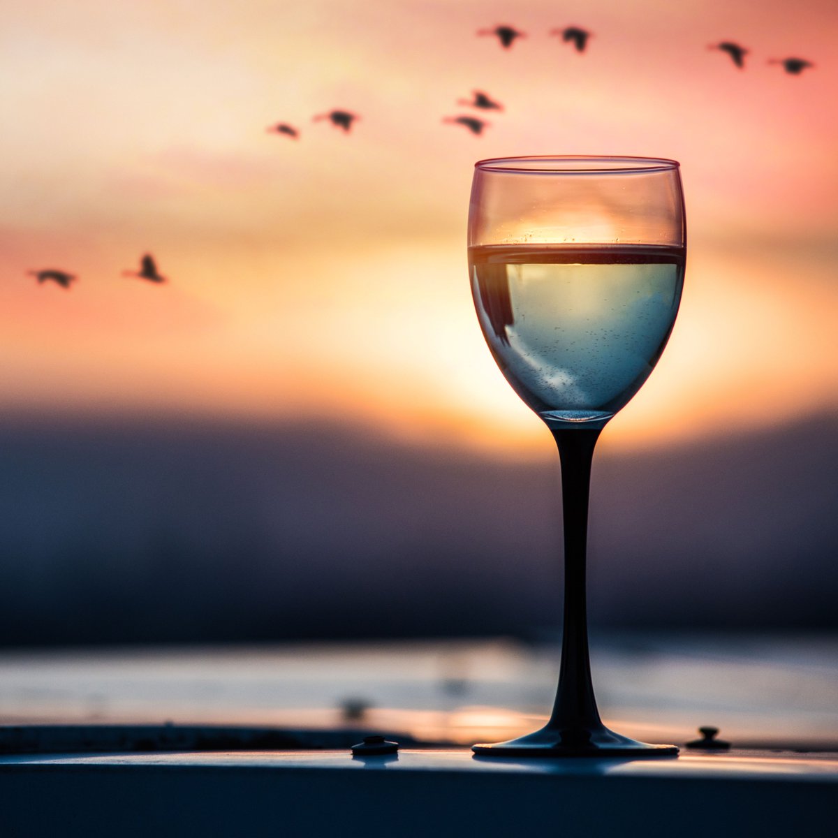 PegCityGrub's tweet image. Whether you are looking to gorge on gourds, pound poutine, feast underneath flying flocks of fowl, or drink craft beer in your best puffy vest, #Winnipeg has a culinary event for you this fall. 
pegcitygrub.com/read,post/786/…