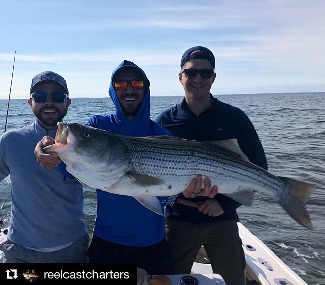 AnglersMusic's tweet photo. Come and fish the fall run with us for ablies, bones, bass and blues! We still have some openings for Sunday afternoons in September and some weekday openings including 9/11, 9/12 morning and 9/19, 9/19 afternoon. #reelcastcharters #minnkotamotors #MinnK… https://t.co/UCBogor9PQ https://t.co/5QiPqpDOuA