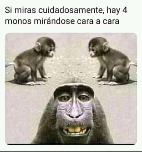 taucho tweet media