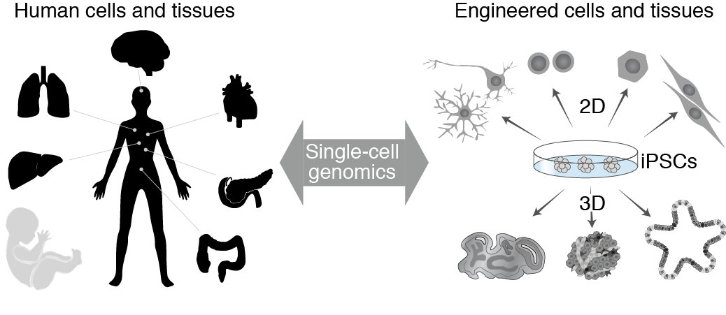 Nature Methods tweet media