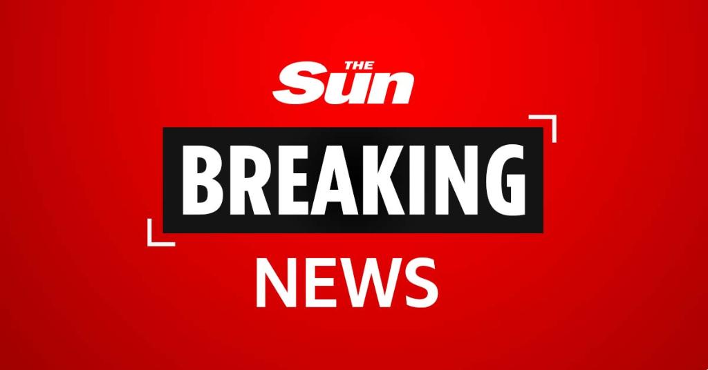 TheSun's tweet photo. Ariana Grande's ex-boyfriend Mac Miller has died  https://t.co/OxhAdpQh7O https://t.co/IcCh9X5iqV