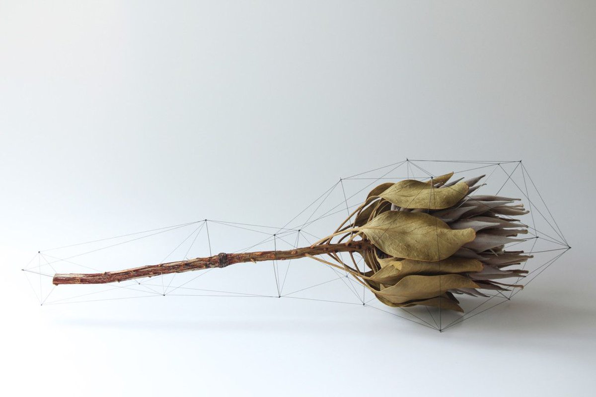 Polygon-Wrapped Floral Arrangements by Artist Norihiko Terayama

Japanese designer, Norihiko Terayama, suspends simple floral arrangements in polygonal forms, contrasting the organic material with straight, meticulous lines. buff.ly/2LP4JAu