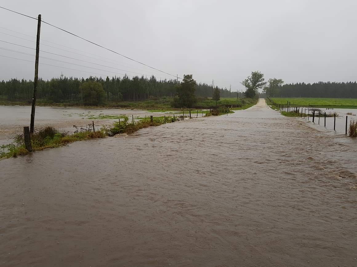 ReenvalSA's tweet photo. Dreineer pype en damme uitlope kon nie vandag voorbly nie.Sover 230mm en #reën nog steeds #Stormsrivier #Tsitsikamma 📸 John Britz @maroelamedia @Netwerk24 @eNCA @venter_annette @huisgenoot @zarsg https://t.co/TuIhZXzJMf