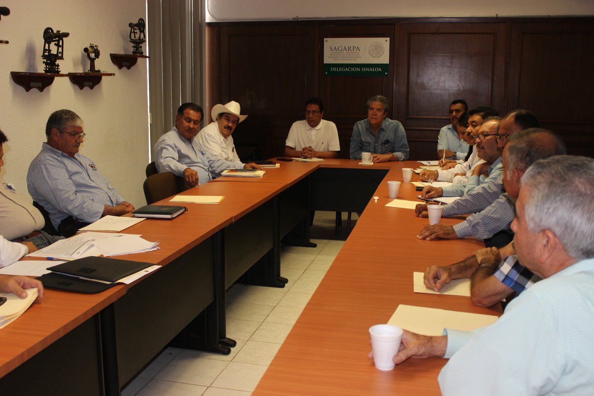 PatricioRoblesL's tweet photo. Atendiendo a los integrantes del Sistema Producto Trigo en el estado de Sinaloa https://t.co/ocDF9hz4mi