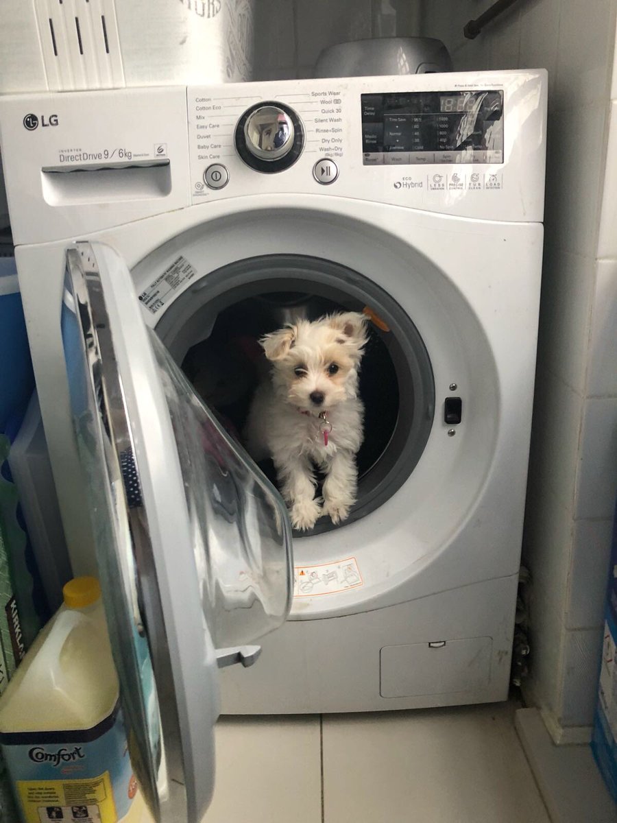 Oh Nells, I miss you