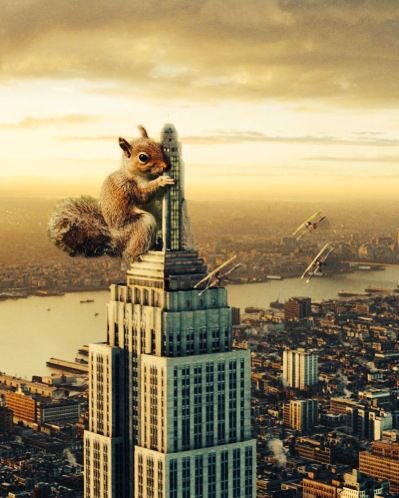 NatalieHopkin2's tweet photo. Chapter 3 - A Night at the Squovies
https://t.co/GZobQfL6jV
#Squirena #Squernie #Squirrelsinlove #squovienight https://t.co/2u0awpzSbB