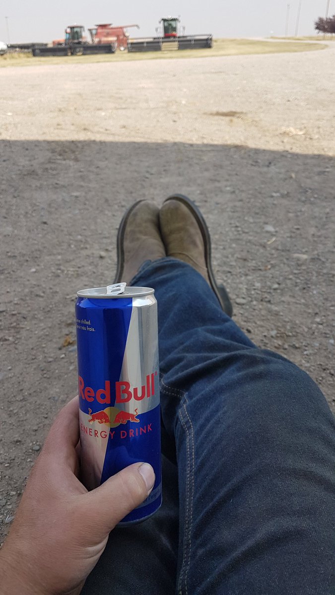 twistedironfarm's tweet image. #SmartFarmingIs taking a minute to breathe during harvest. 

And lots of Red Bull 🐂