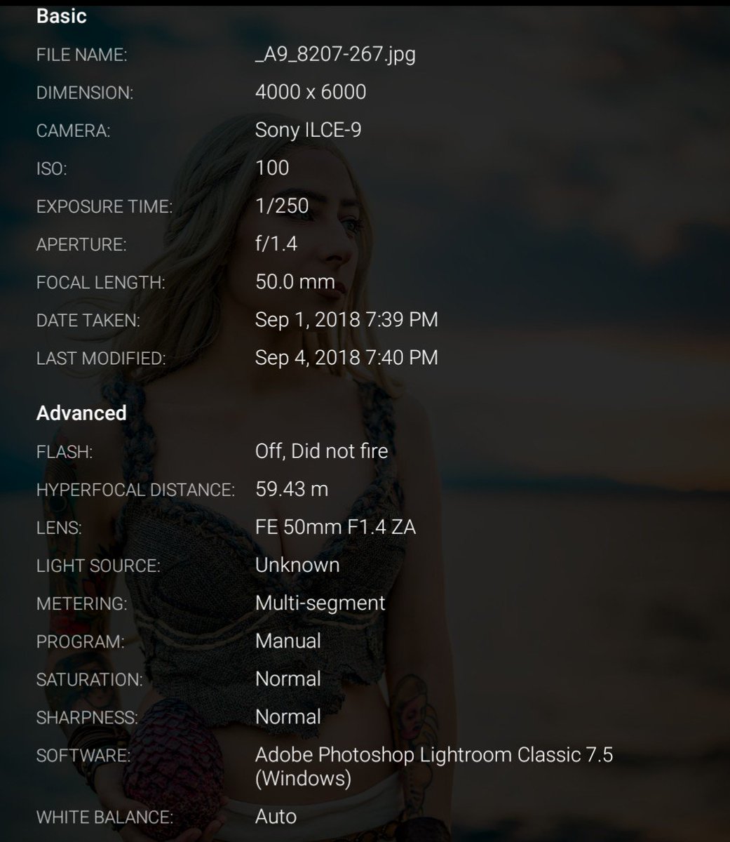 thesleepymuse's tweet photo. @itsnatewillis @SkyhookArt it was a Sony a9, here's all the info https://t.co/CupjmkdDDi